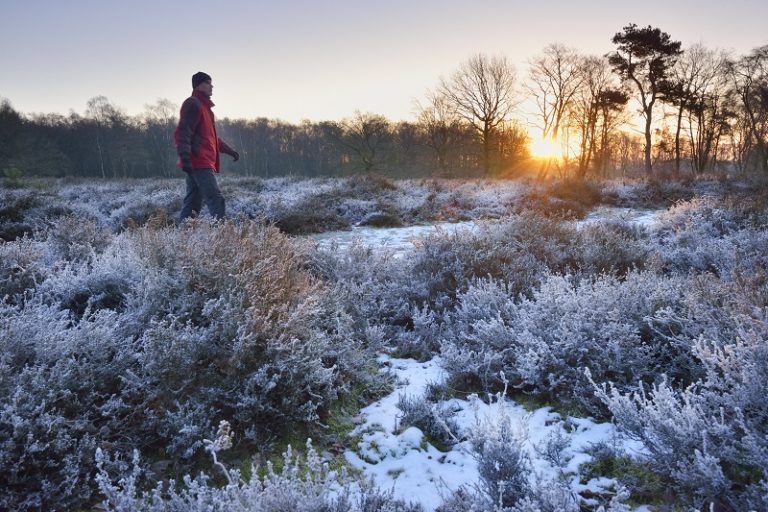 wandelroute Dal van de Mosbeek